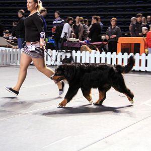 IMG_0354