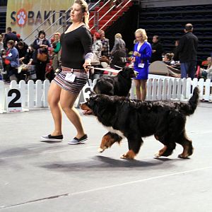 IMG_0355