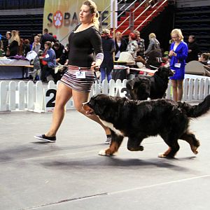 IMG_0356