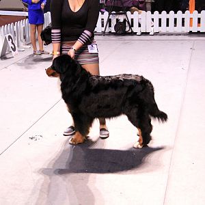 IMG_0357