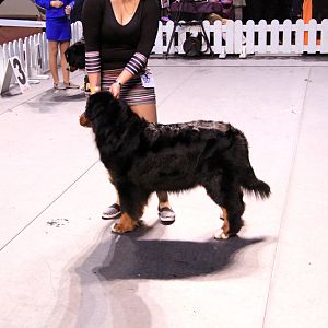IMG_0358