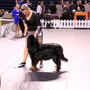 IMG_0359