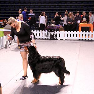 IMG_0361