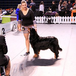 IMG_0362