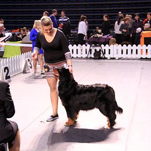IMG_0363