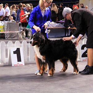 IMG_0365