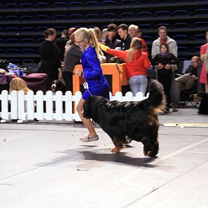 IMG_0367