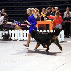 IMG_0368
