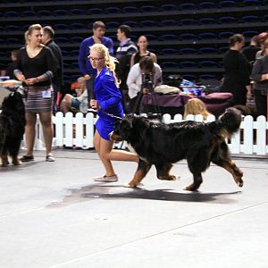 IMG_0369