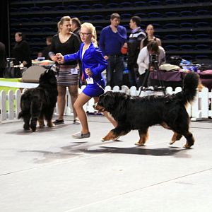 IMG_0370