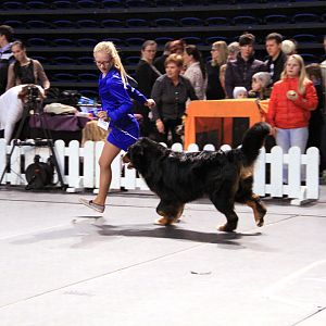 IMG_0374