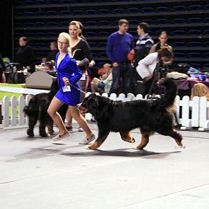 IMG_0375