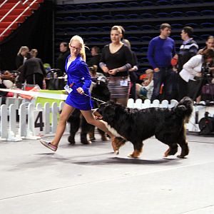 IMG_0376