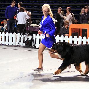 IMG_0379