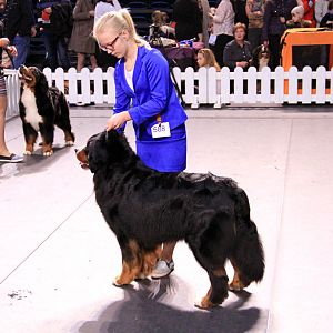 IMG_0381
