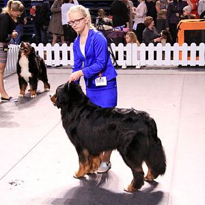 IMG_0382