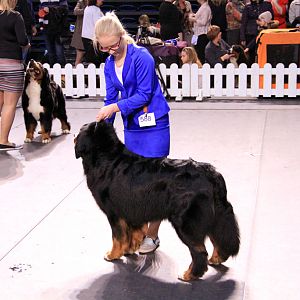IMG_0383