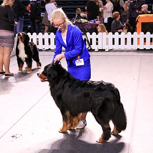 IMG_0384