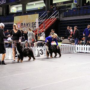 IMG_0387
