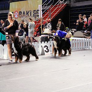 IMG_0388
