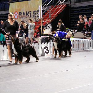 IMG_0389