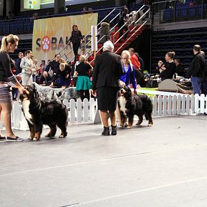 IMG_0390