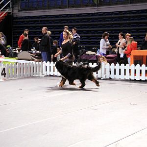 IMG_0391