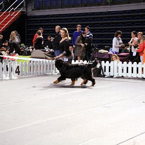 IMG_0392