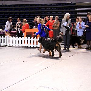 IMG_0393