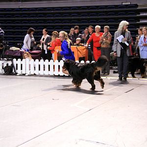 IMG_0394