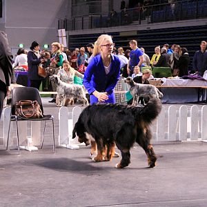 IMG_0396