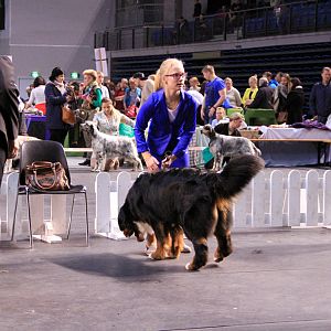 IMG_0397
