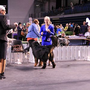 IMG_0398