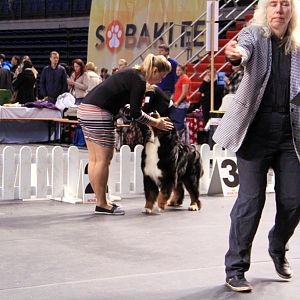 IMG_0399
