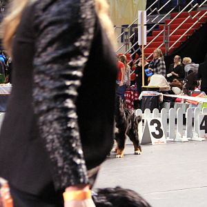 IMG_0401