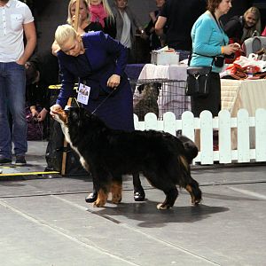 IMG_0403