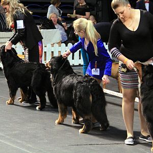 IMG_0406
