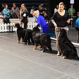 IMG_0409