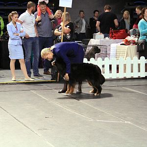 IMG_0411