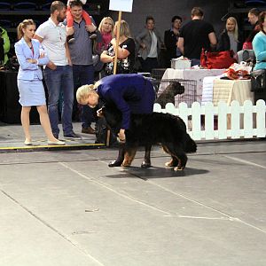 IMG_0412