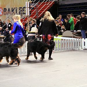 IMG_0415