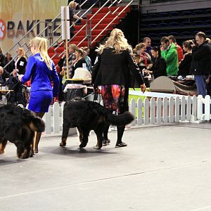 IMG_0416