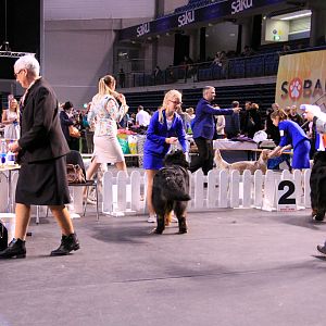 IMG_0418