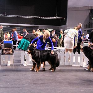 IMG_0419