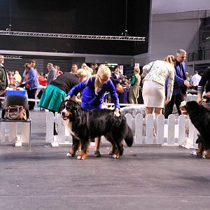 IMG_0420