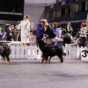 IMG_0421