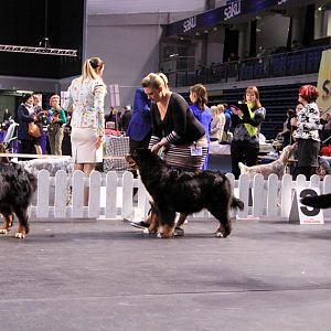 IMG_0422