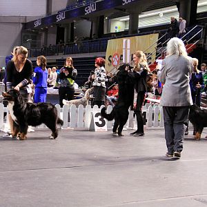 IMG_0424