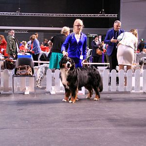 IMG_0425