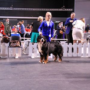 IMG_0426